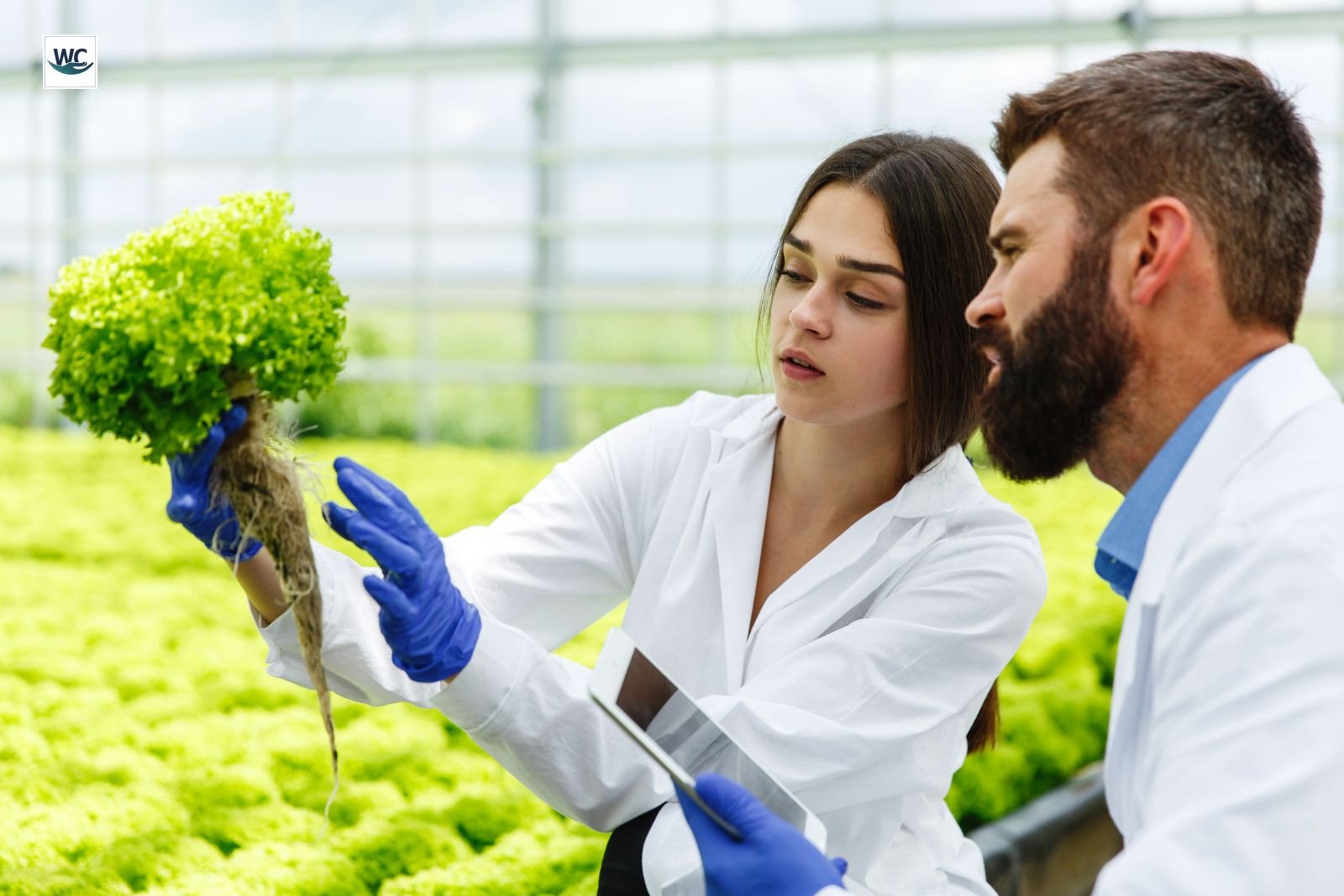 Biotech Investments